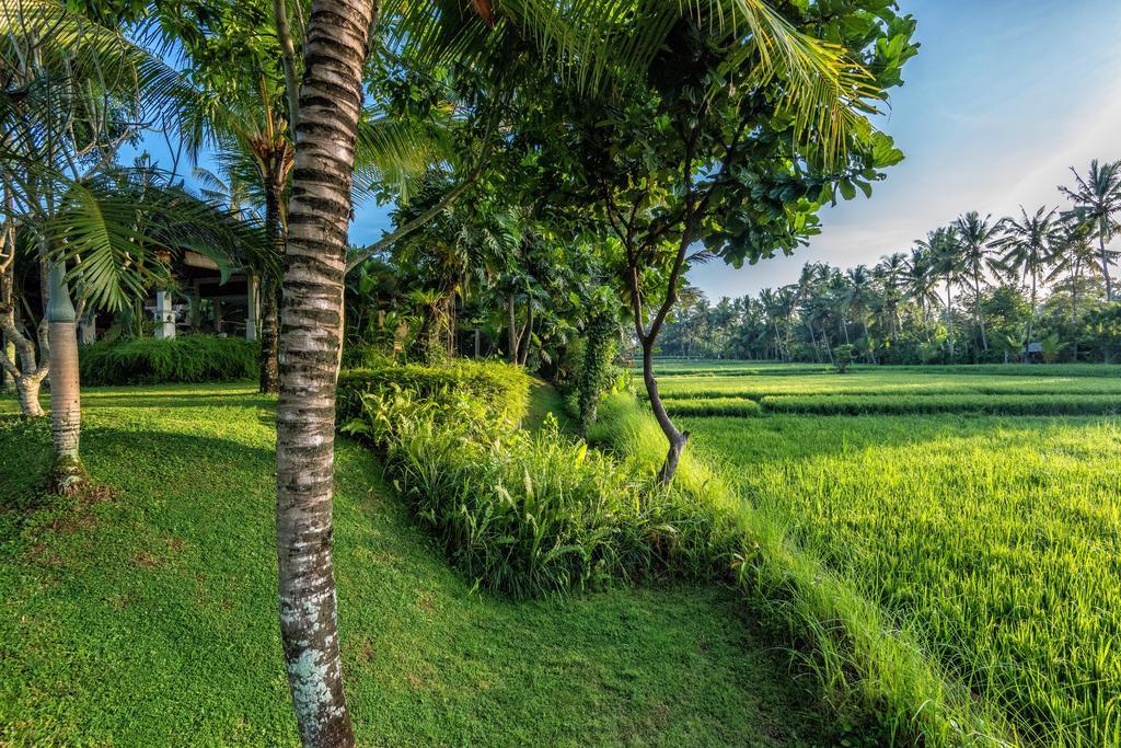 Villa Sabandari Ubud Exteriör bild