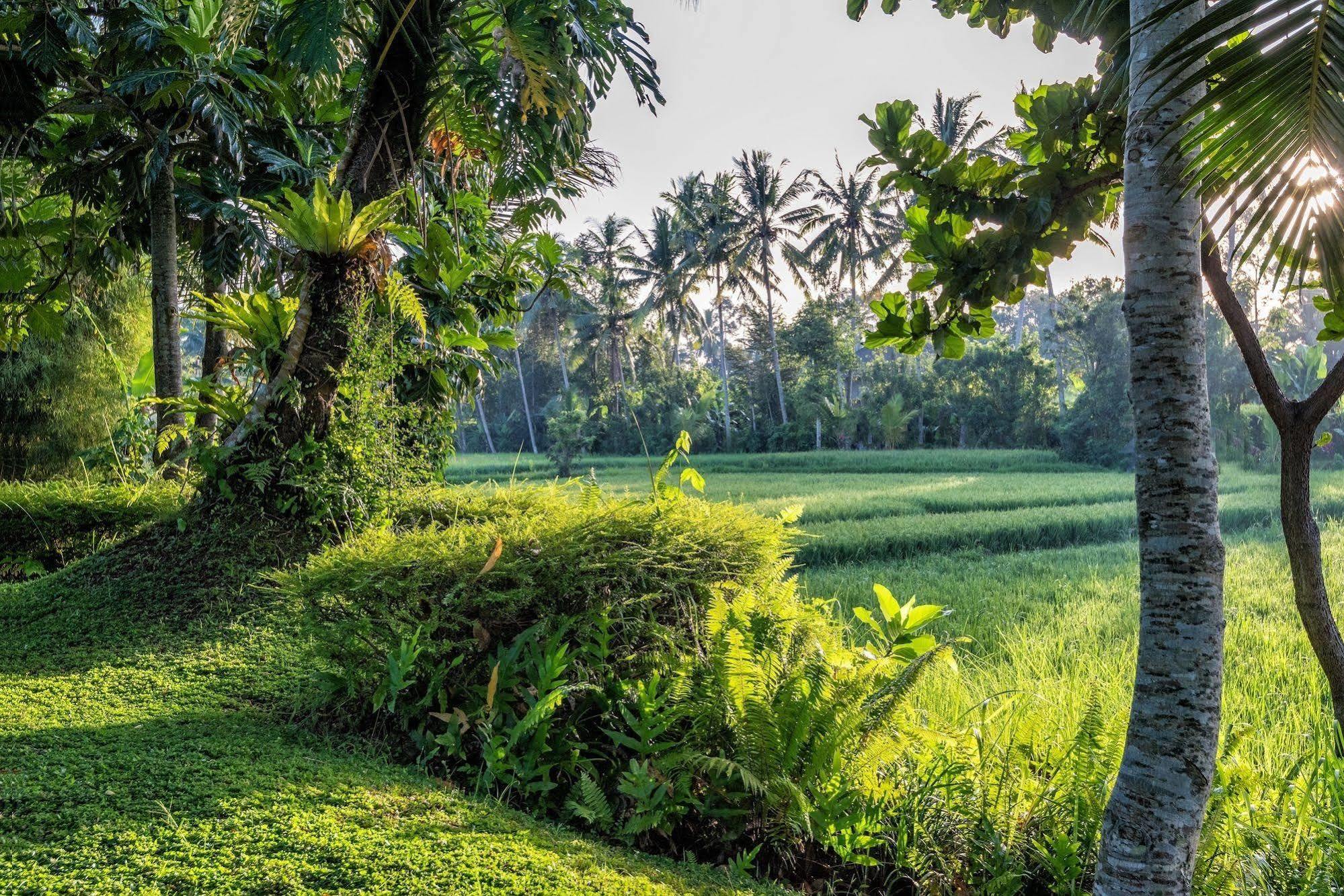 Villa Sabandari Ubud Exteriör bild